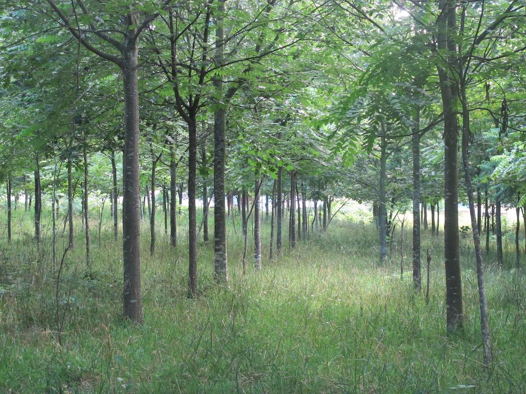 No Meio da Natureza - Turismo No Espaco Rural Vila Nova de Famalicão Exterior foto